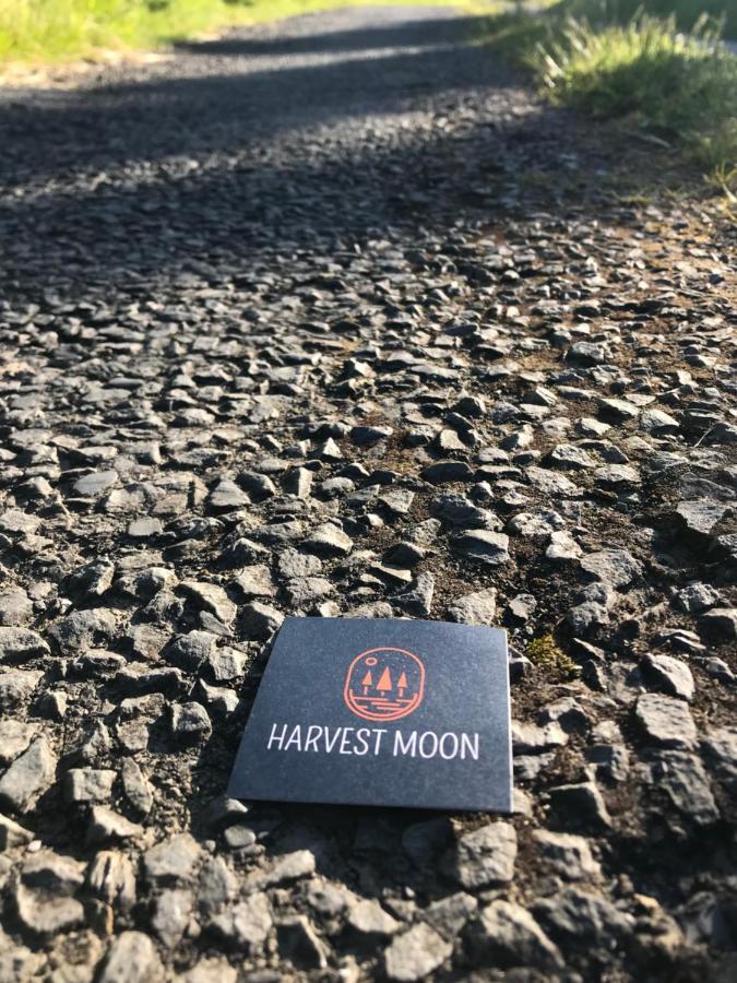 Harvest Moon Bed & Breakfast Doolin Ngoại thất bức ảnh